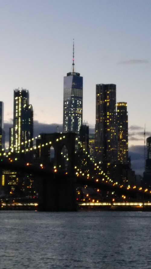 NYC_2017-11-19 16-58-08_CELL_20171119_165809